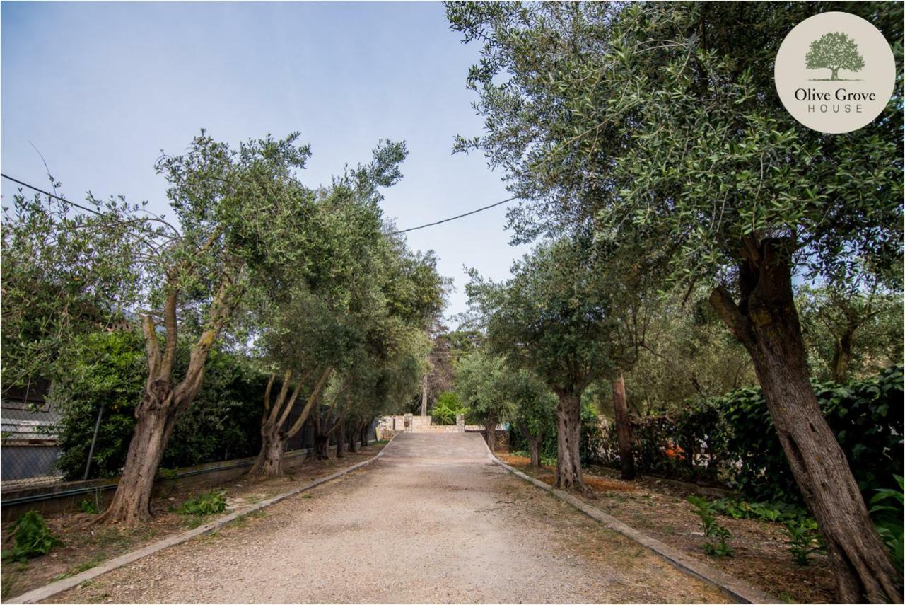 Вілла Olive Grove House Аргостоліон Екстер'єр фото