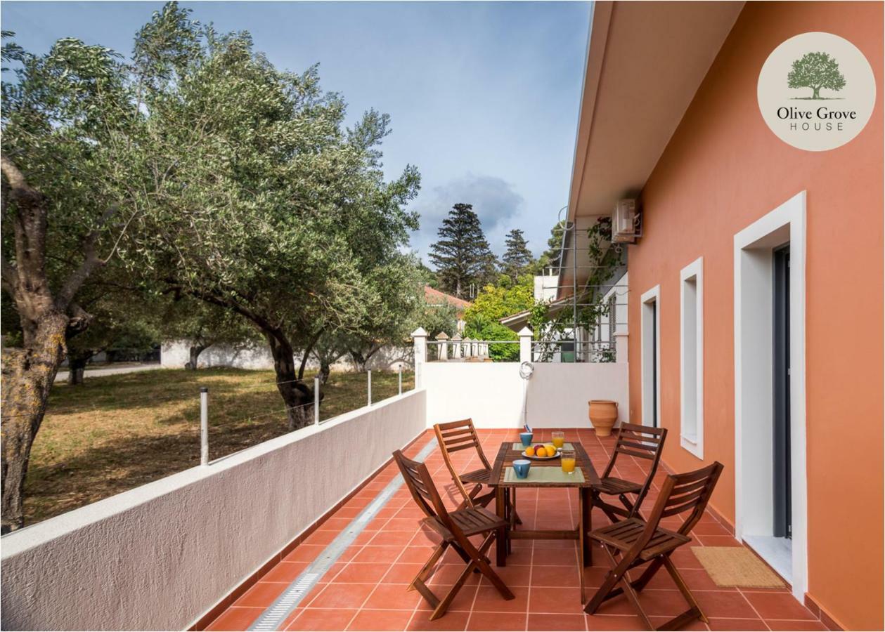 Вілла Olive Grove House Аргостоліон Екстер'єр фото